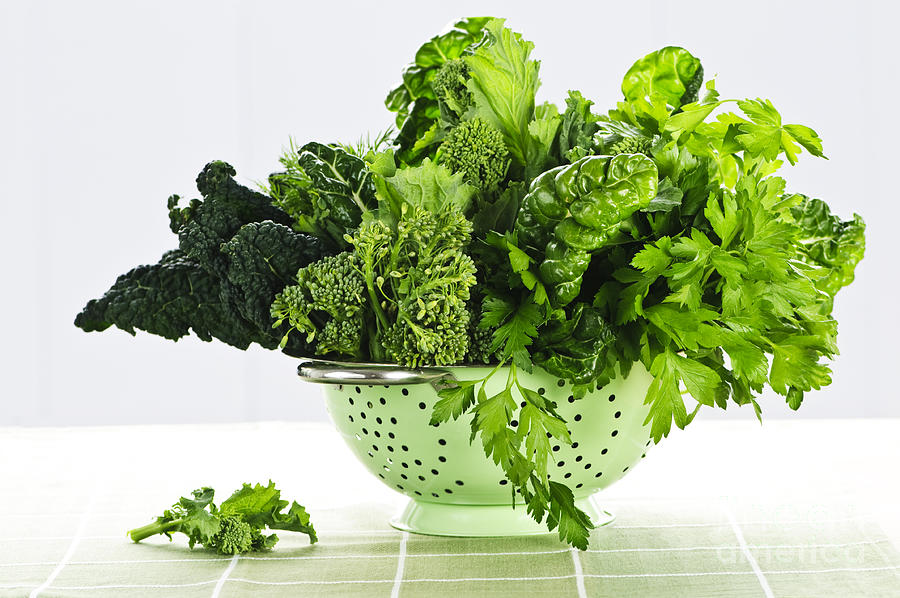 Vegetable Photograph - Dark green leafy vegetables in colander by Elena Elisseeva