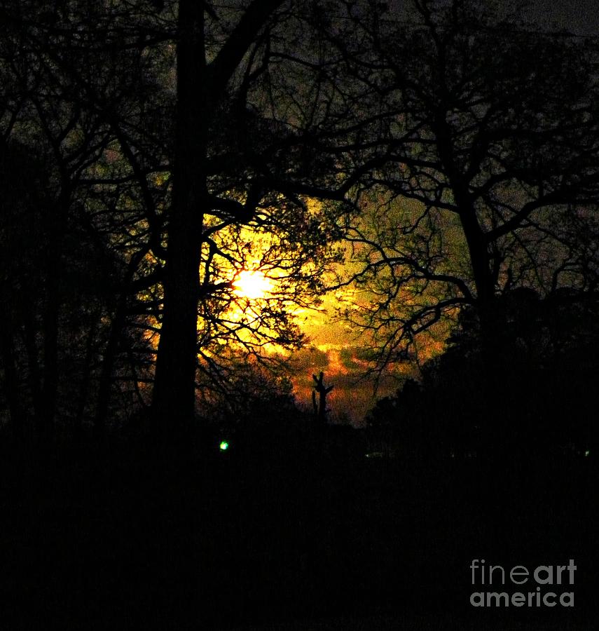 Nature Photograph - Dark Heart Moon by Tisha Clinkenbeard