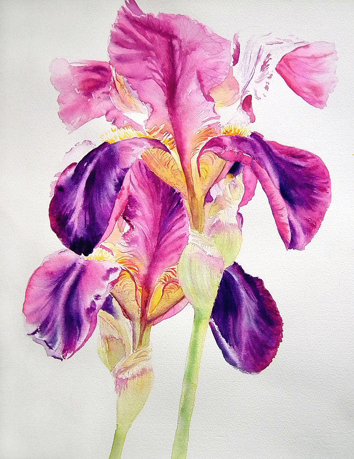 Dark Irises Painting by Ruth Harris - Fine Art America