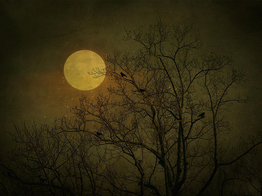 Dark Moon Photograph by Robin Dickinson