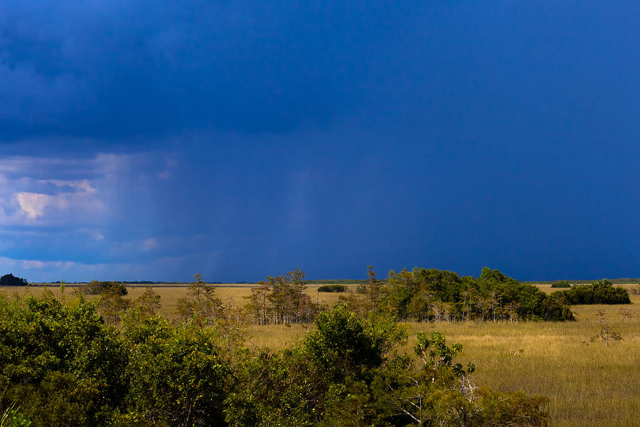 Dark Storm Over the Everglades Photograph by Ed Gleichman