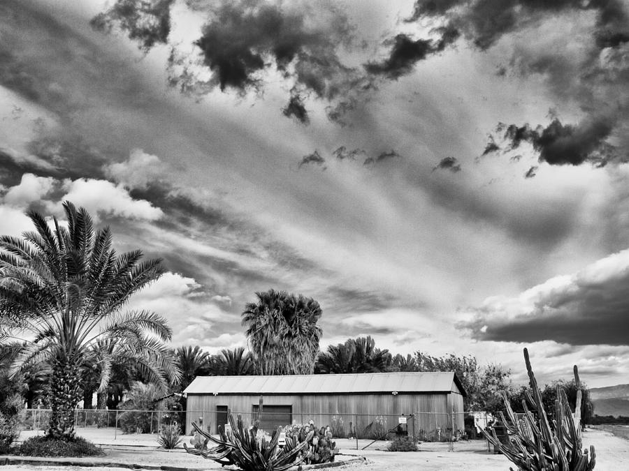 Date Farm in La Quinta Photograph by Dominic Piperata