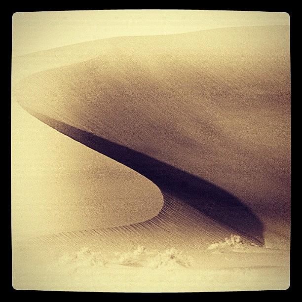 Dunes Photograph - Davids Dune by Felice Willat