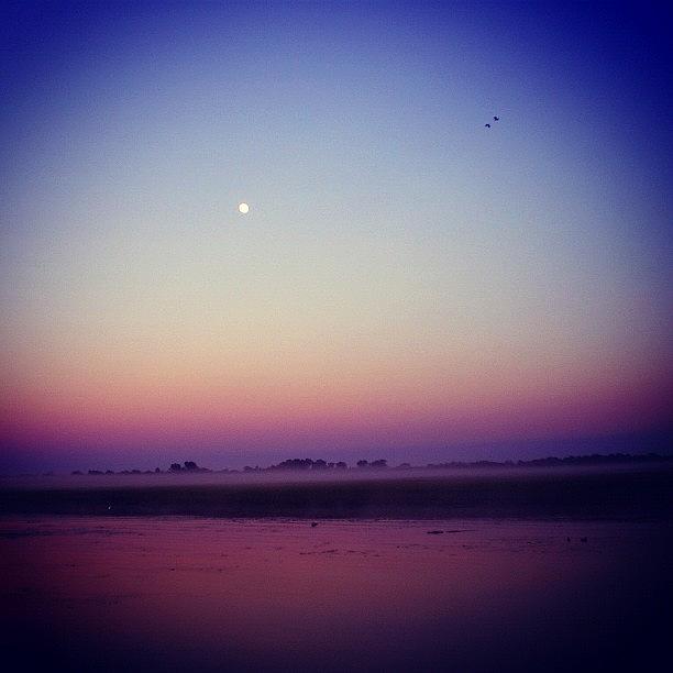 Purple Photograph - Dawn At Yellow Water Kakadu by Nicole Spillane