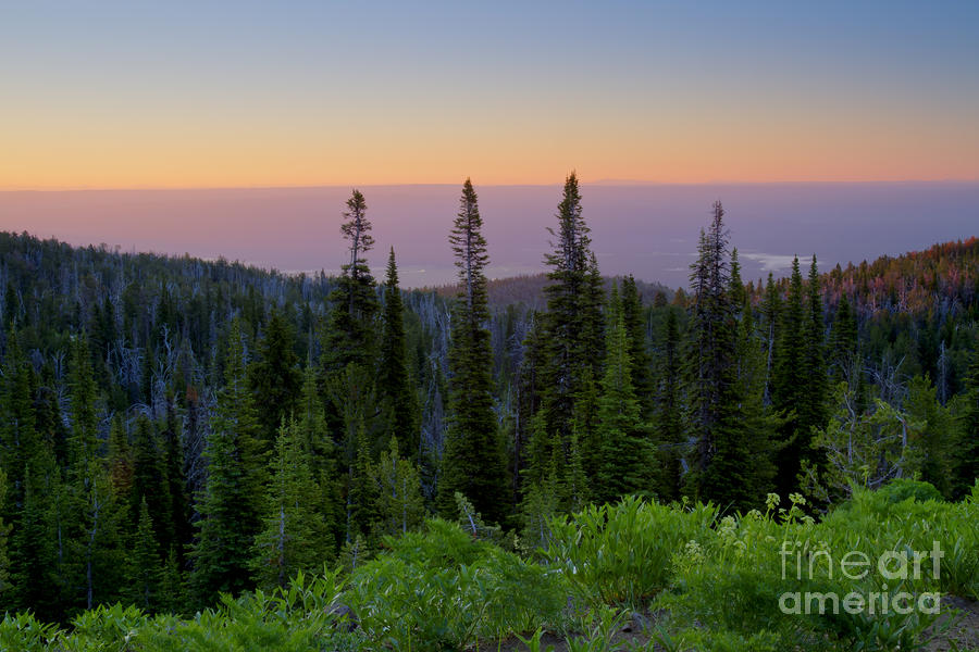 Idaho Photograph - Dawn Colors by Idaho Scenic Images Linda Lantzy Idaho Photograph - Dawn Colors by Idaho Scenic Images Linda Lantzy