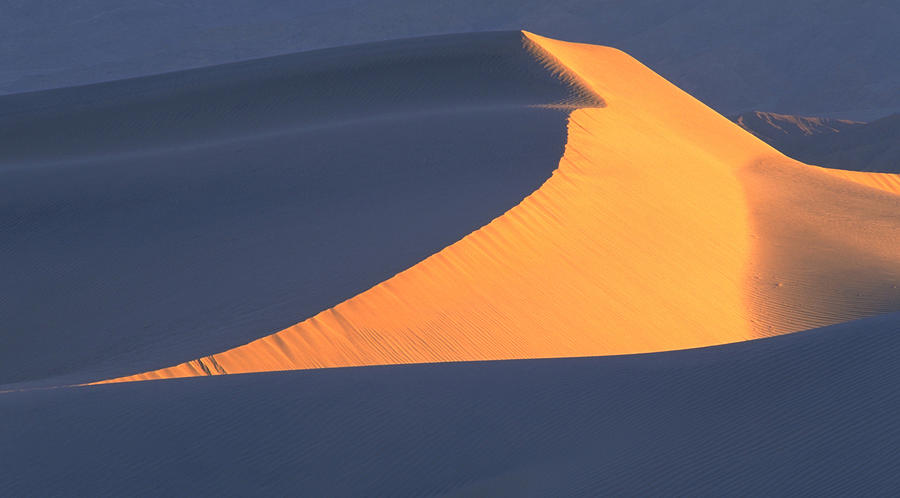 Dawn Dune Photograph by John Farley