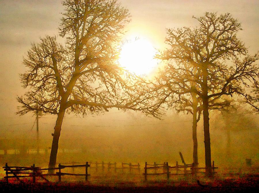 Dawn in the country Digital Art by Carrie OBrien Sibley