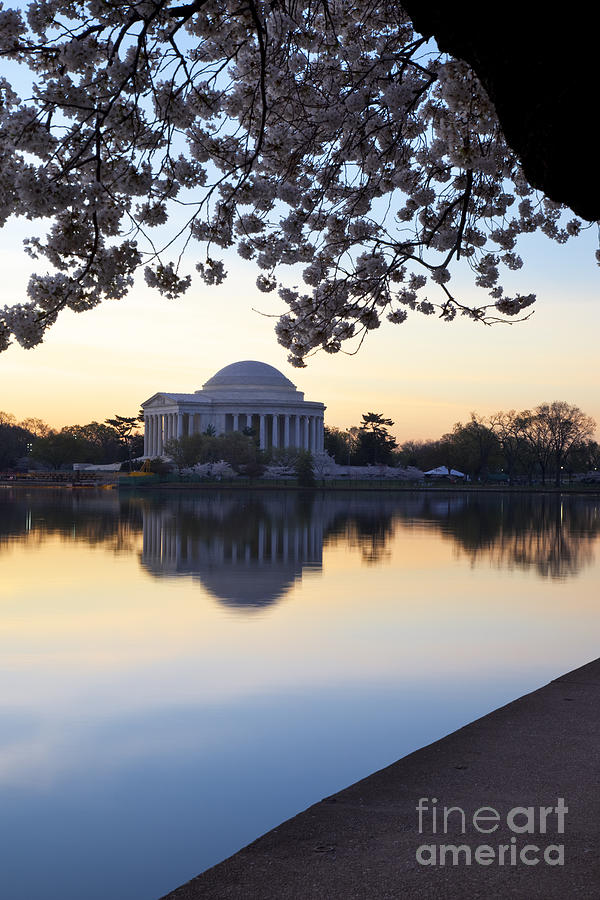 Dawn over Jefferson Memorial Photograph by Brian Jannsen