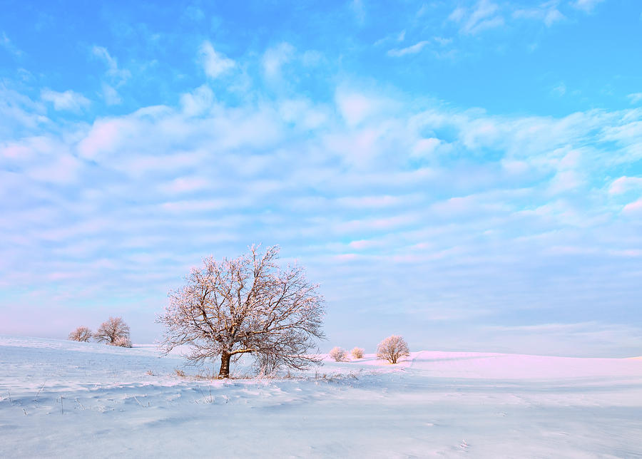 Dawn sunrise in the frozen fields of Russia Photograph by Vladimir ...