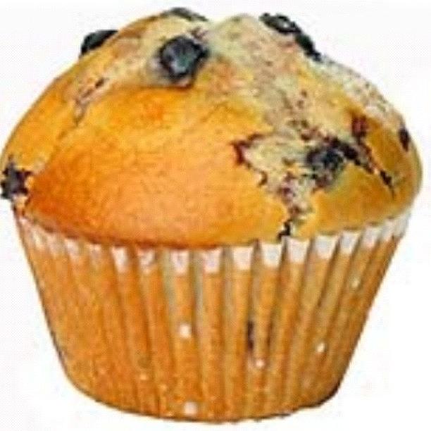 Day 3:my Breakfast! Blueberry Muffin! Photograph by Abby  Maxwell