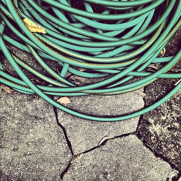 Fall Photograph - Day 6 Of #365project  #hose #autumn by Melaney Wolf