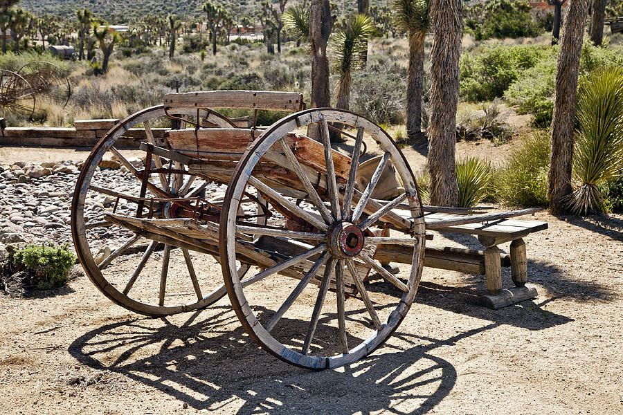 Wagon Photograph - Day Buggy by Harold Hofelich