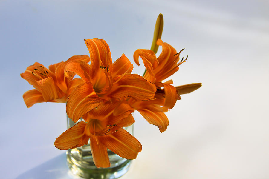 Day Lilies in a Glass Photograph by Theresa Johnson