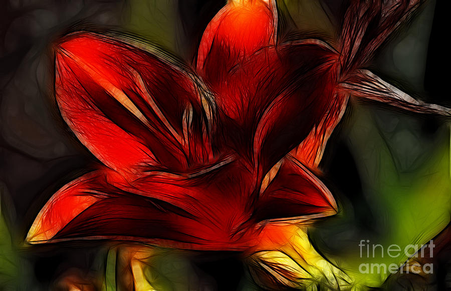 Day Lily Fractal Photograph by Donna Greene