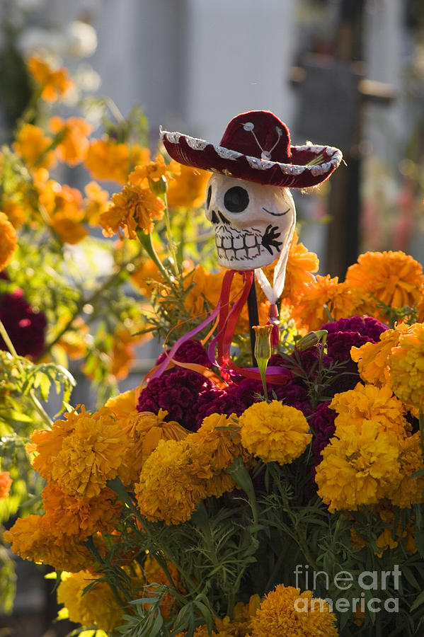 Day of the Dead - San Miguel de Allende Photograph by Craig Lovell