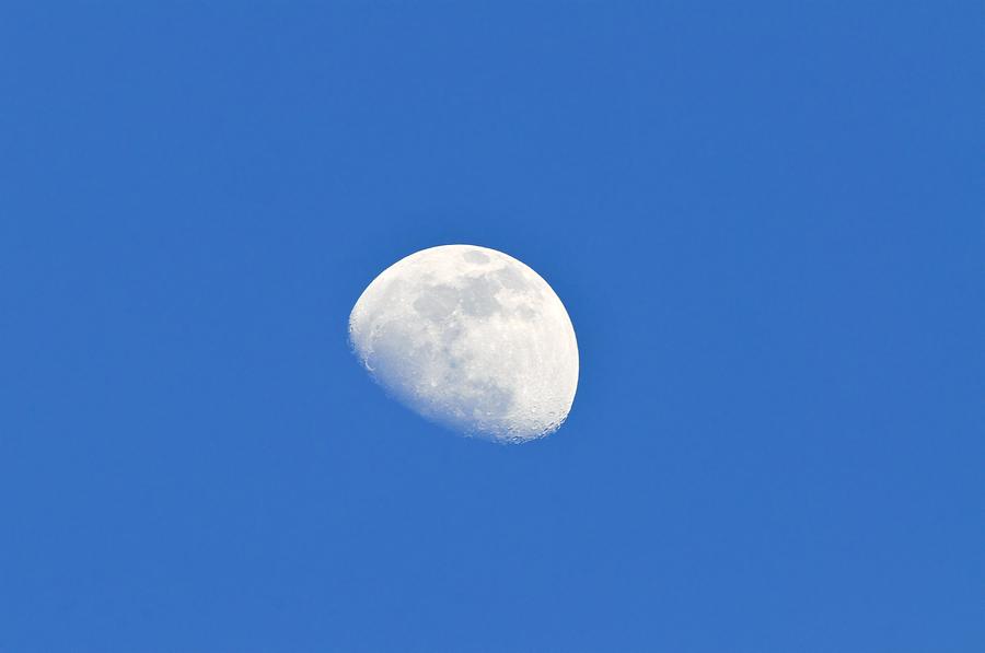 Astronomical Photograph - Day Time Moon by Photostock-israel