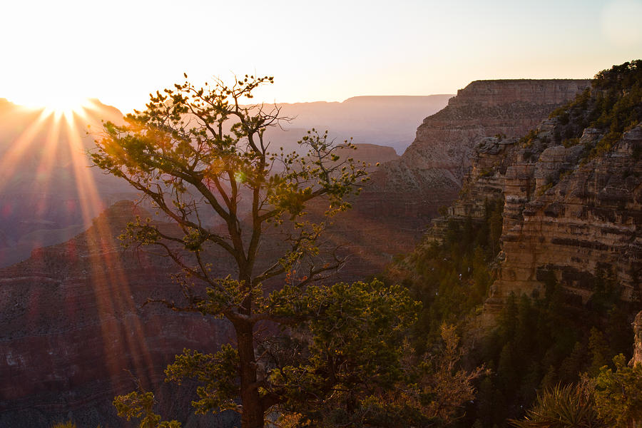 Grand Canyon National Park Photograph - Daybreak at Mather Point by Adam Pender