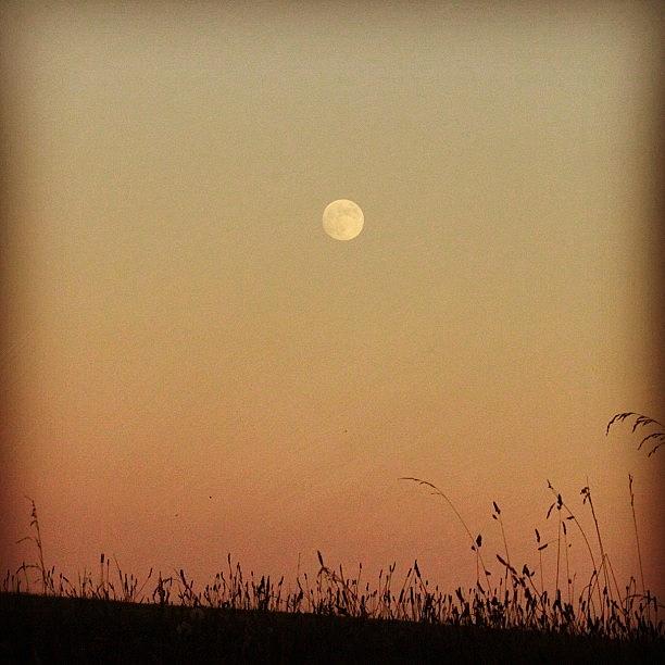 Iger Photograph - Daylight Moon . No Edit. Driving Down A by Janet DiLeonardo