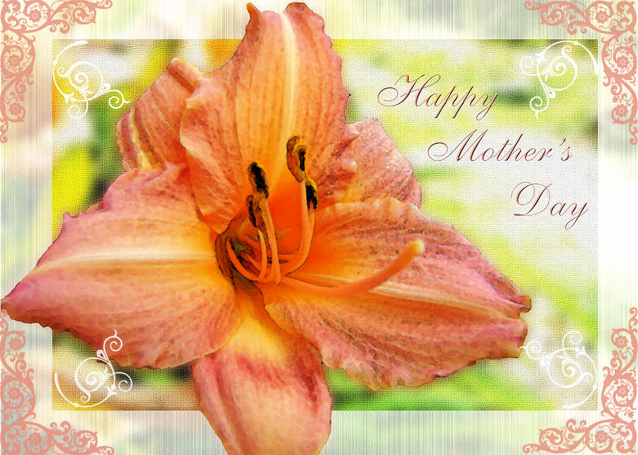 Daylily Greeting Card Mothers Day Photograph by Debbie Portwood
