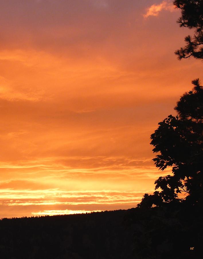 Dazzling Orange Sunset Photograph by Will Borden