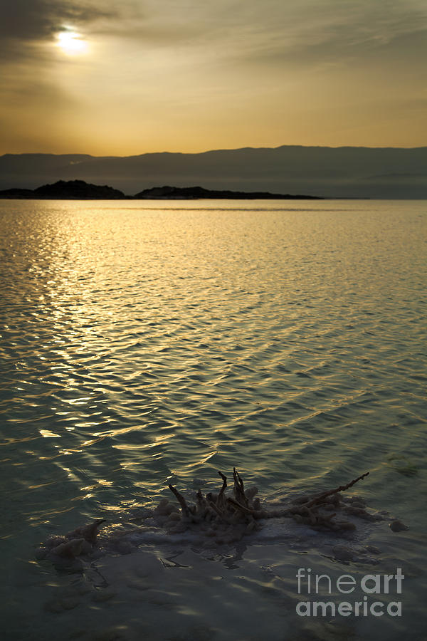 Nature Digital Art - Dead Sea Shore at Dawn by Eldad Carin