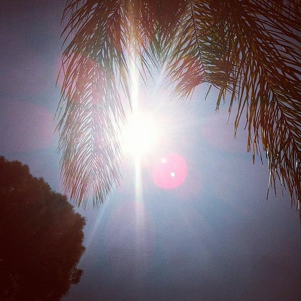 Dear Sun; Go Away. Thanks Photograph by Sydney Locke