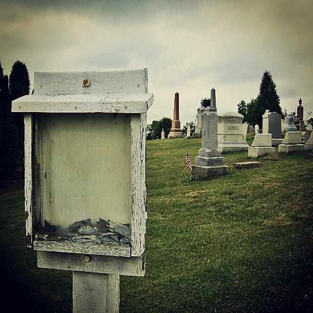 Nature Photograph - #death #cemetery #nature #headstones by Jami Tammerine
