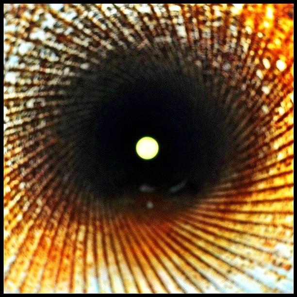 Gun Photograph - Death Star or Looking down the barrel by T Catonpremise