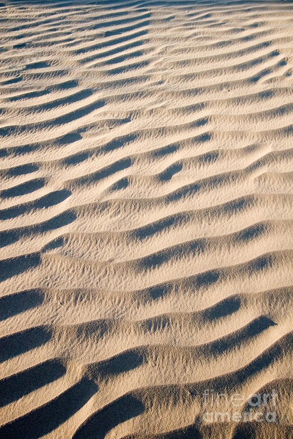 Death Valley California Sand Dunes Close Up Photograph by ELITE IMAGE photography By Chad McDermott