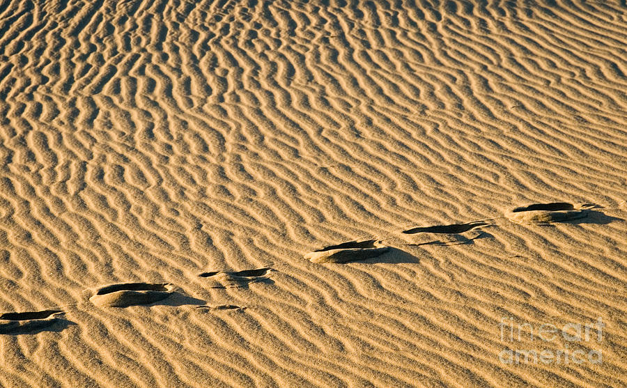 Death Valley California Sand Dunes Footprints Photograph By Elite Image Photography By Chad