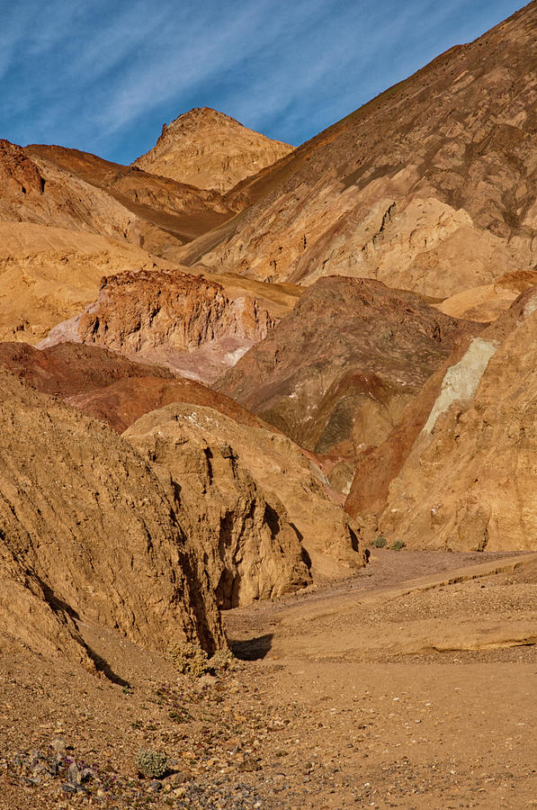 Artist Point Photograph - Death Valley Colors by Al Reiner
