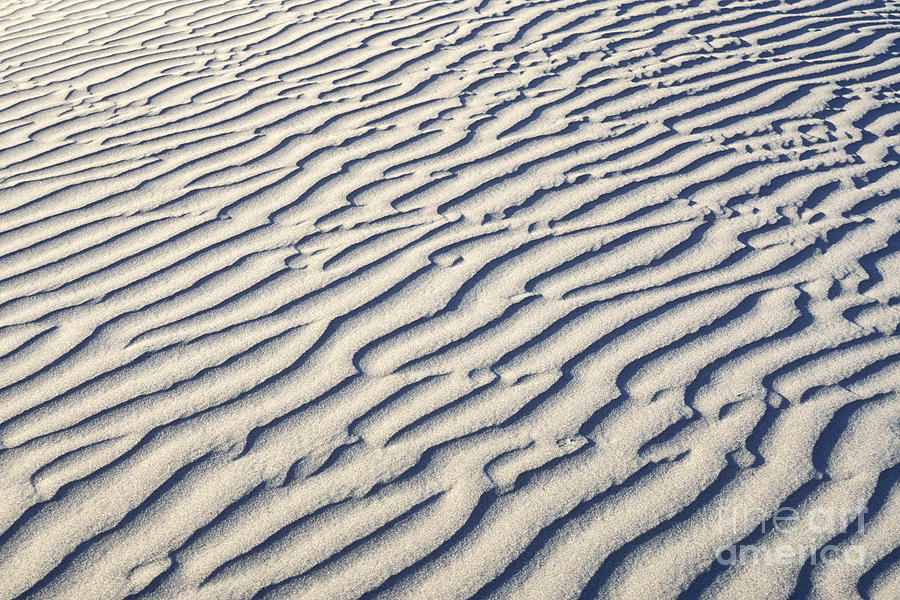 Death Valley Dune  Photograph by Sandra Bronstein