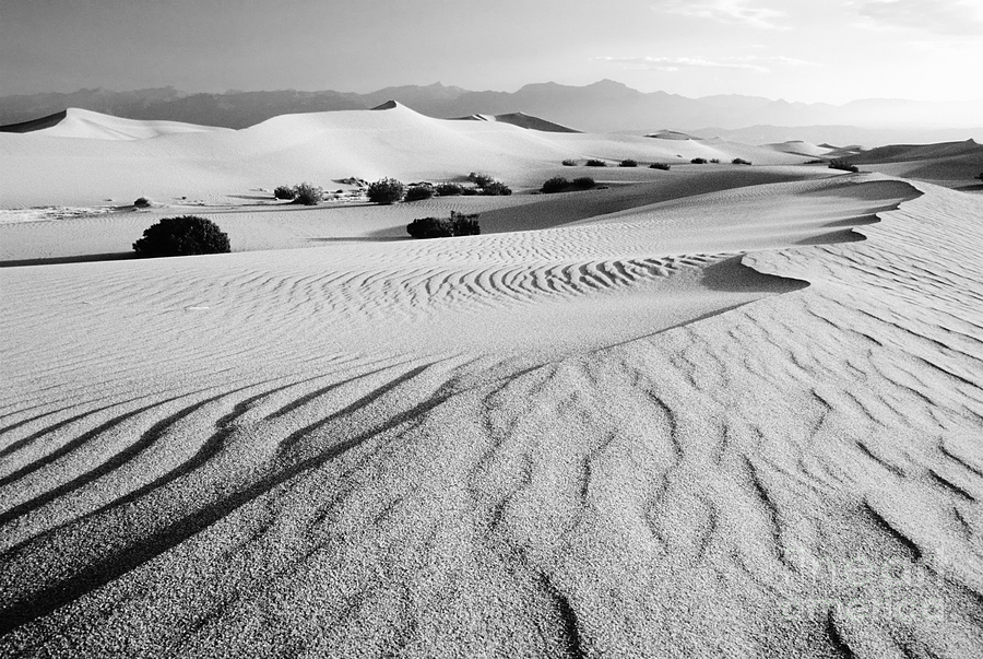 Death Valley Dunes 11 Photograph by Bob Christopher