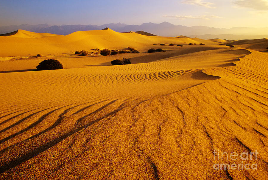 Death Valley Dunes 12 Photograph by Bob Christopher