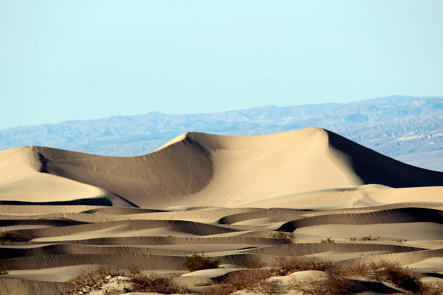 Death Valley Dunes Photograph by Jo Sheehan