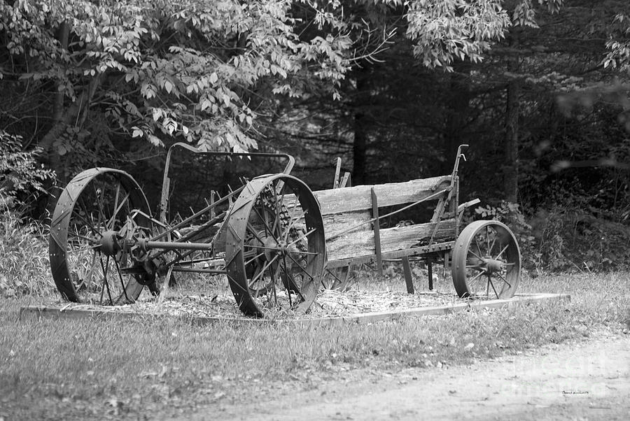Black And White Photograph - Decaying Wagon Black and White by Thomas Woolworth