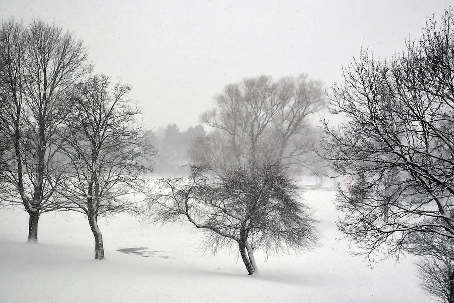 December  Photograph by Dragan Kudjerski