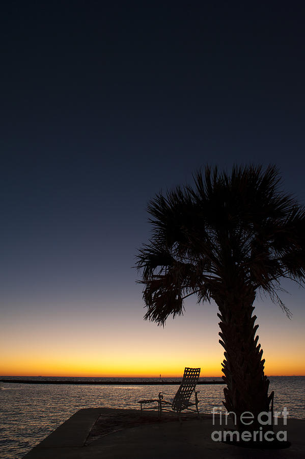 Sunset Photograph - Deck chair and palm tree at sunset at the Gulf of Mexico by Andre Babiak