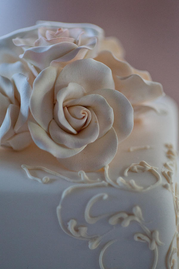 Decorative Cake Photograph by Carole Hinding