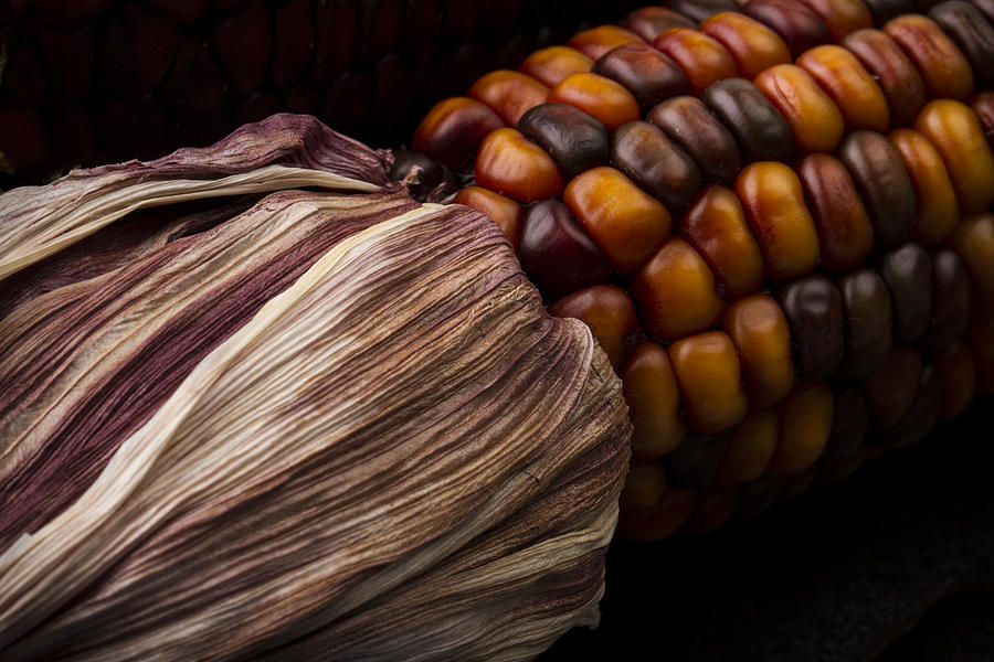 Decorative Maize Photograph by Clare Bambers