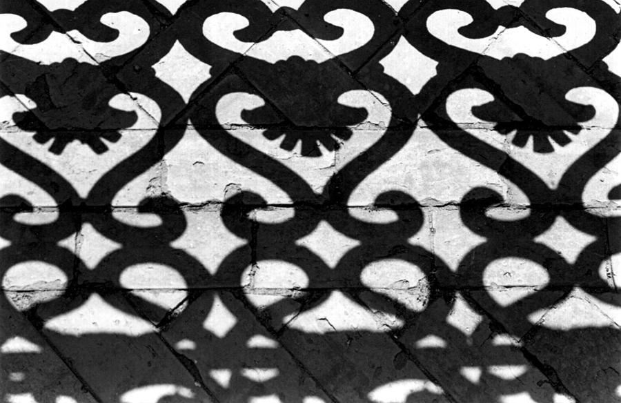 Decorative Shadows  Photograph by Vickie G Buccini