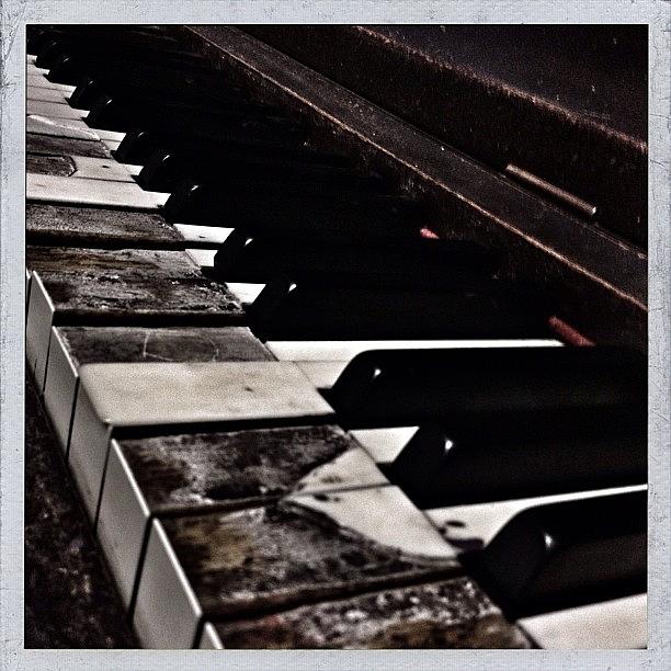 Portland Photograph - Decrepit Upright Piano In The Modish by Christopher Hughes
