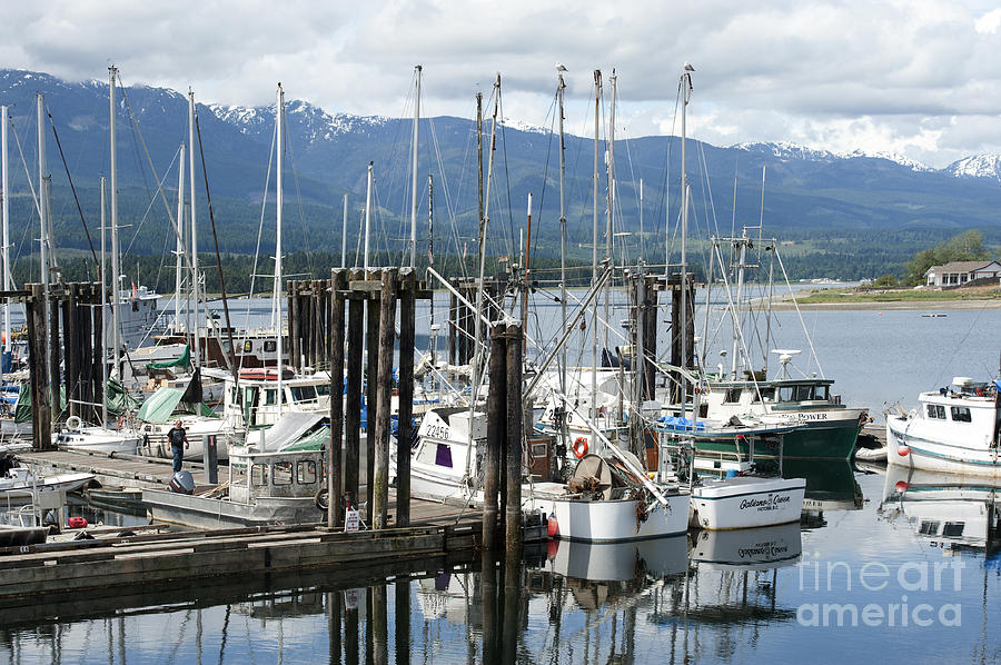 Deep Bay Harbor Photograph by Artist and Photographer Laura Wrede