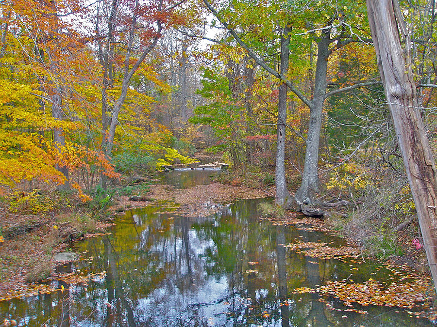 Deep Creek in Autumn - Green Lane PA Photograph by Carol Senske