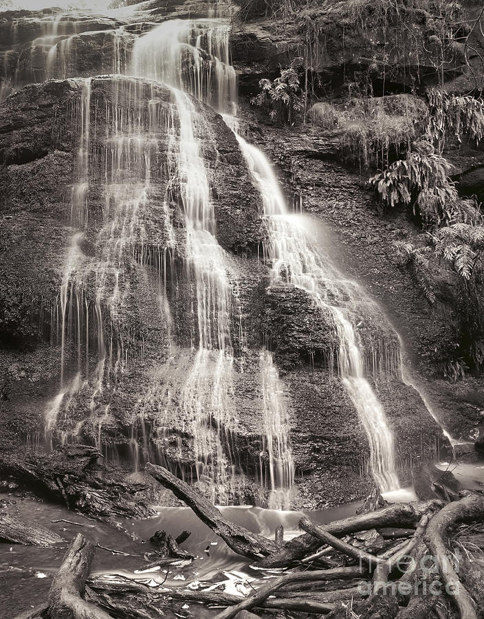 Deep forest waterfall Photograph by Sergey Korotkov - Fine Art America