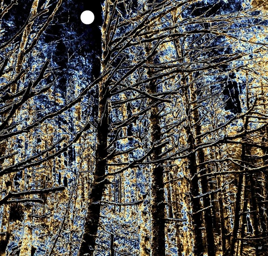 Deep In The Moonlit Forest Digital Art by Will Borden
