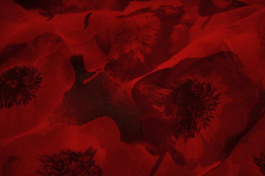 Floral Photograph - Deep Red by Ellen B Pate Floral Photograph - Deep Red by Ellen B Pate