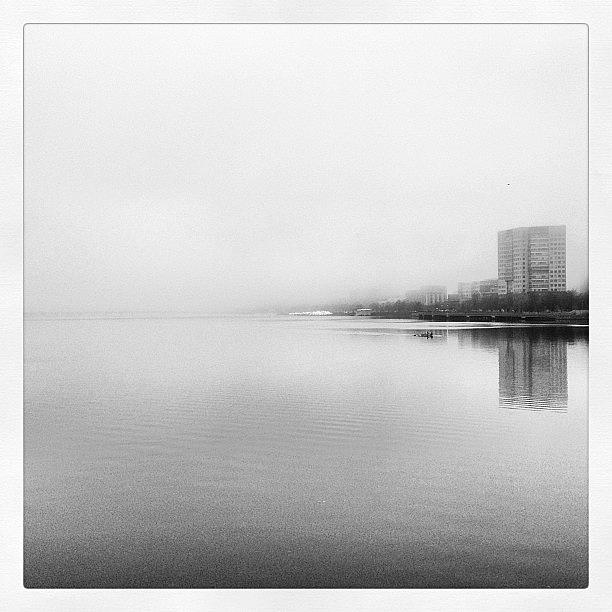 Boston Photograph - Deep White #boston #foggymorning by Khamid B