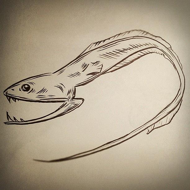 Fish Photograph - #deepsea #creature #drawing by Jeff Reinhardt