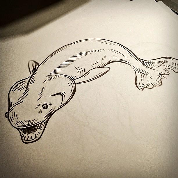 Fish Photograph - #deepsea #shark # Drawing by Jeff Reinhardt